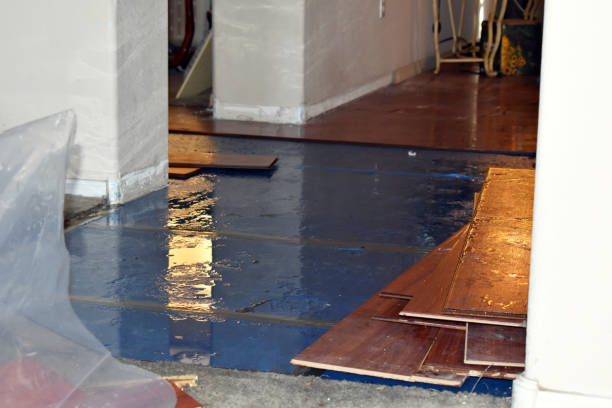 Professional Flood Damage Restoration technician working in Brookline, MO